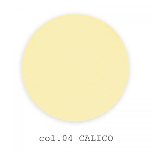 04 - Calico