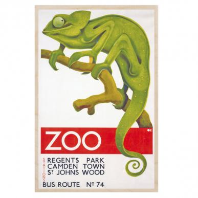 Chameleon of Regent's Park Zoo