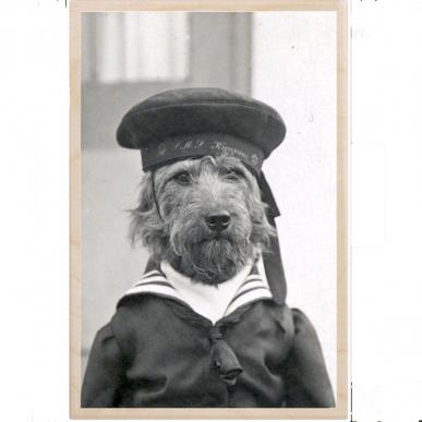 HMS Dog